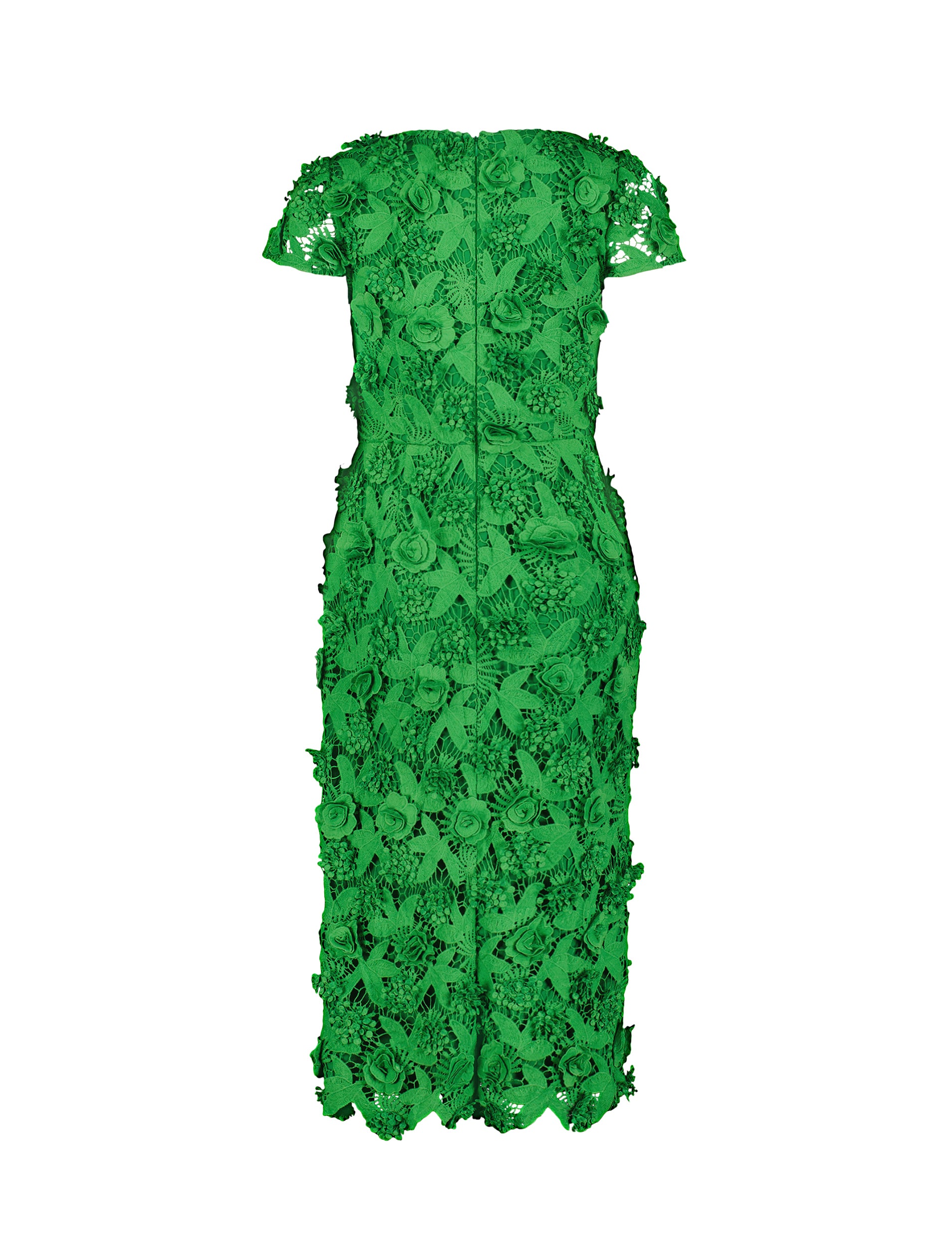 Shop Floral Lace Fitted Short Sleeve Midi Dress Online