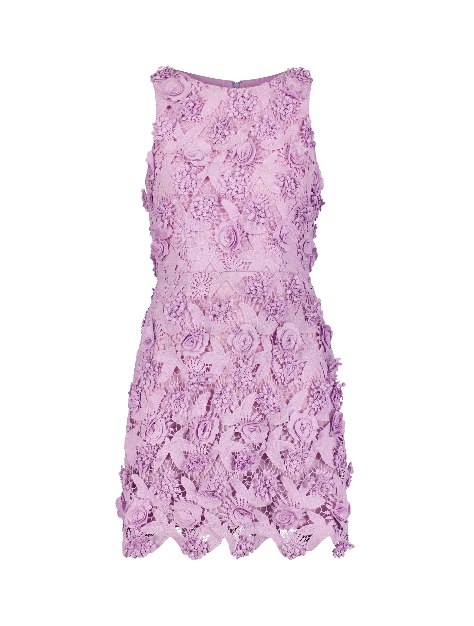 Shop Floral Lace Fitted Sleeveless Mini Dress Online
