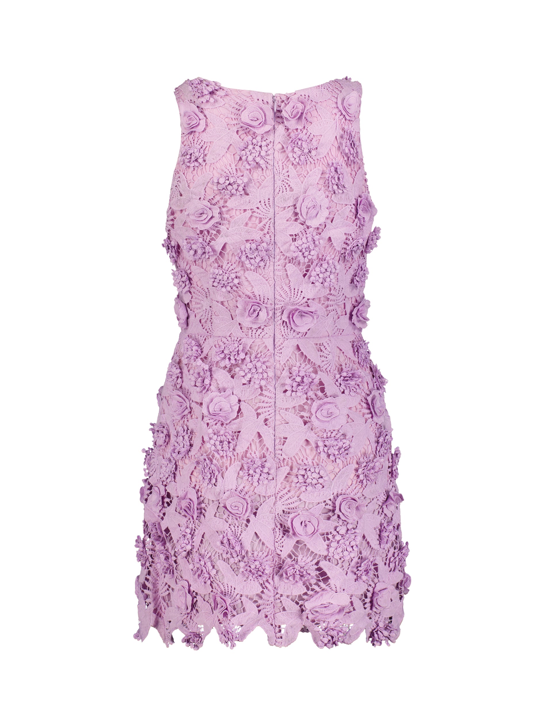 Shop Floral Lace Fitted Sleeveless Mini Dress Online